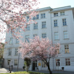 (c)_AMADEUS Int.School.Vienna