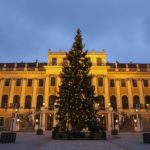 baum-weihnachtsmarkt-schoenbrunn-c-fotofally