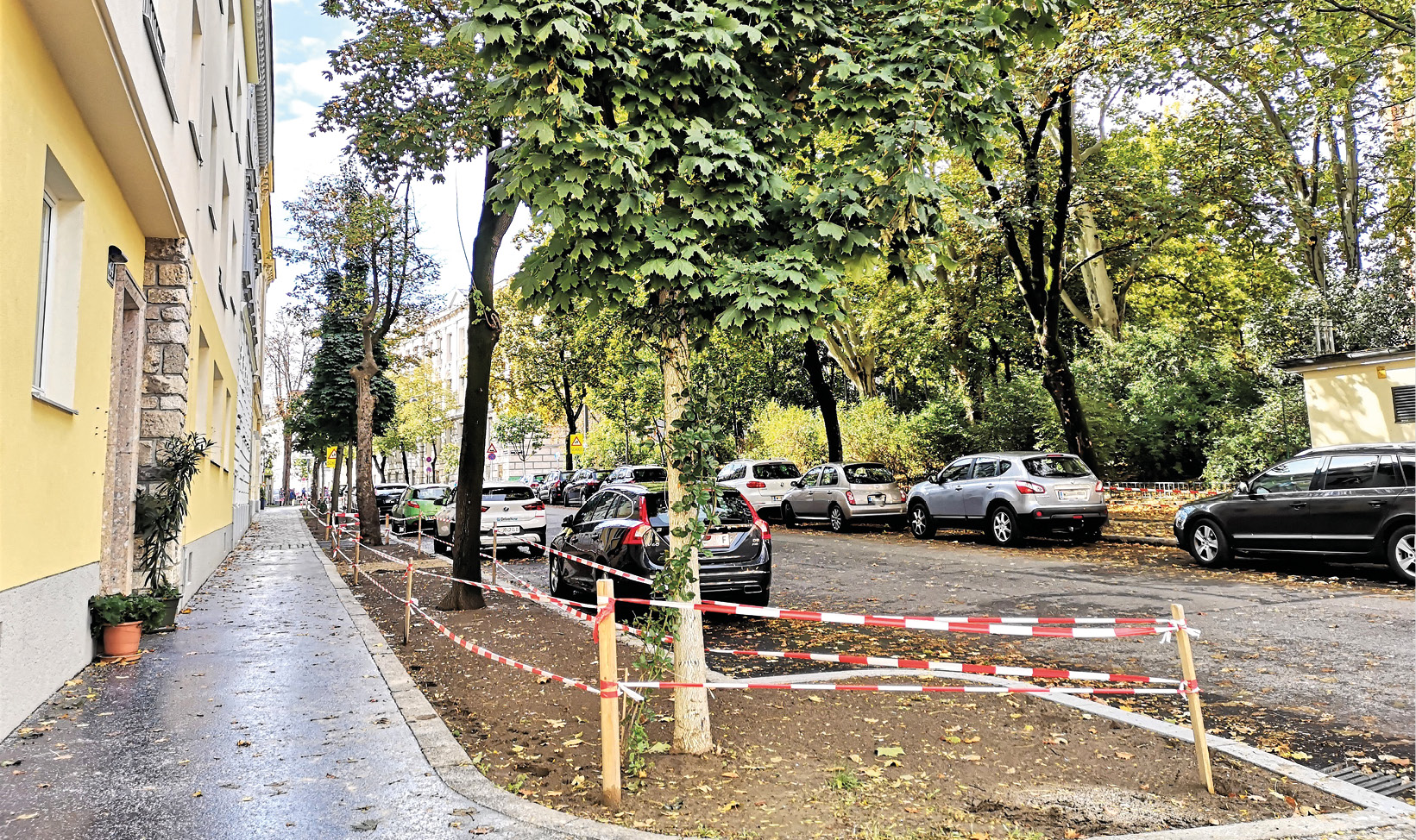 Währing: Mehr Grün für den Bezirk – Die Sanierung der Alleen geht weiter