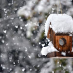 0-Fototipps-Winter-schneengestoeber