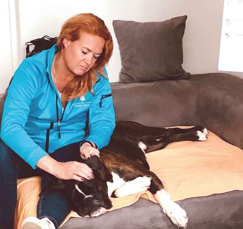 Sie hilft, wenn Bello Berührung braucht