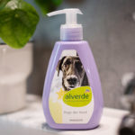 last-minute-cewe-sofortfotos-etiketten-sofortsticker-1