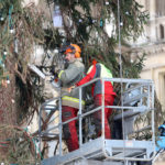 Demontage Christbaum Rathausplatz