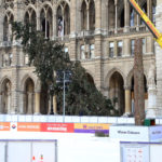 Demontage Christbaum Rathausplatz