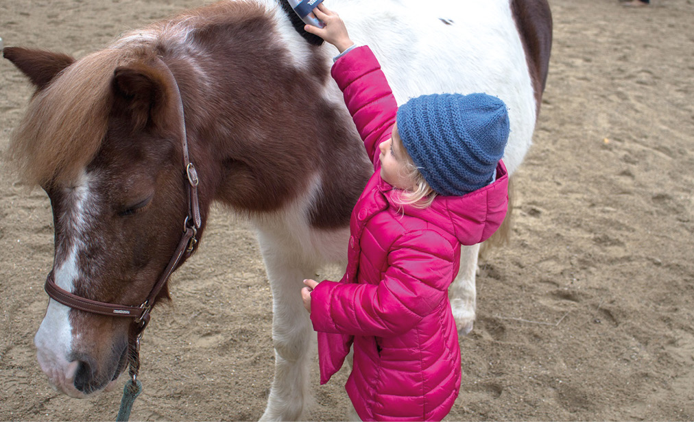 Engel auf Zeit: Lichtblickhof sammelt für Wohnungen