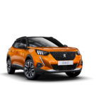 PEUGEOT_CPMARK01_2019_2008_000_DI803_NF01