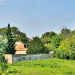 ZVG / Schandl