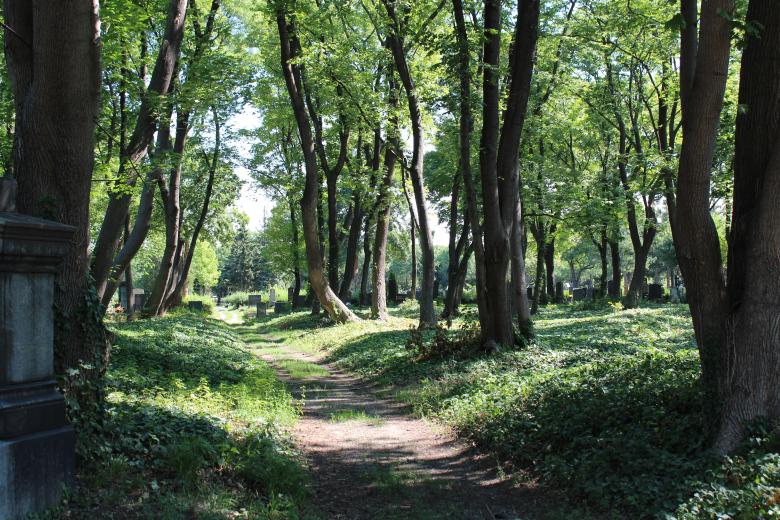 Gratis Führungen am Wiener Zentralfriedhof