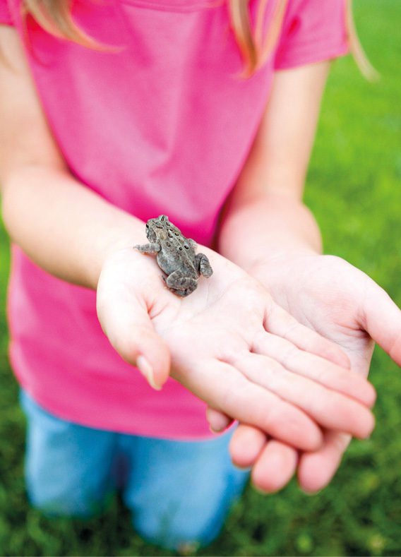 Neuer Akt um Drama in der Schanzstraße