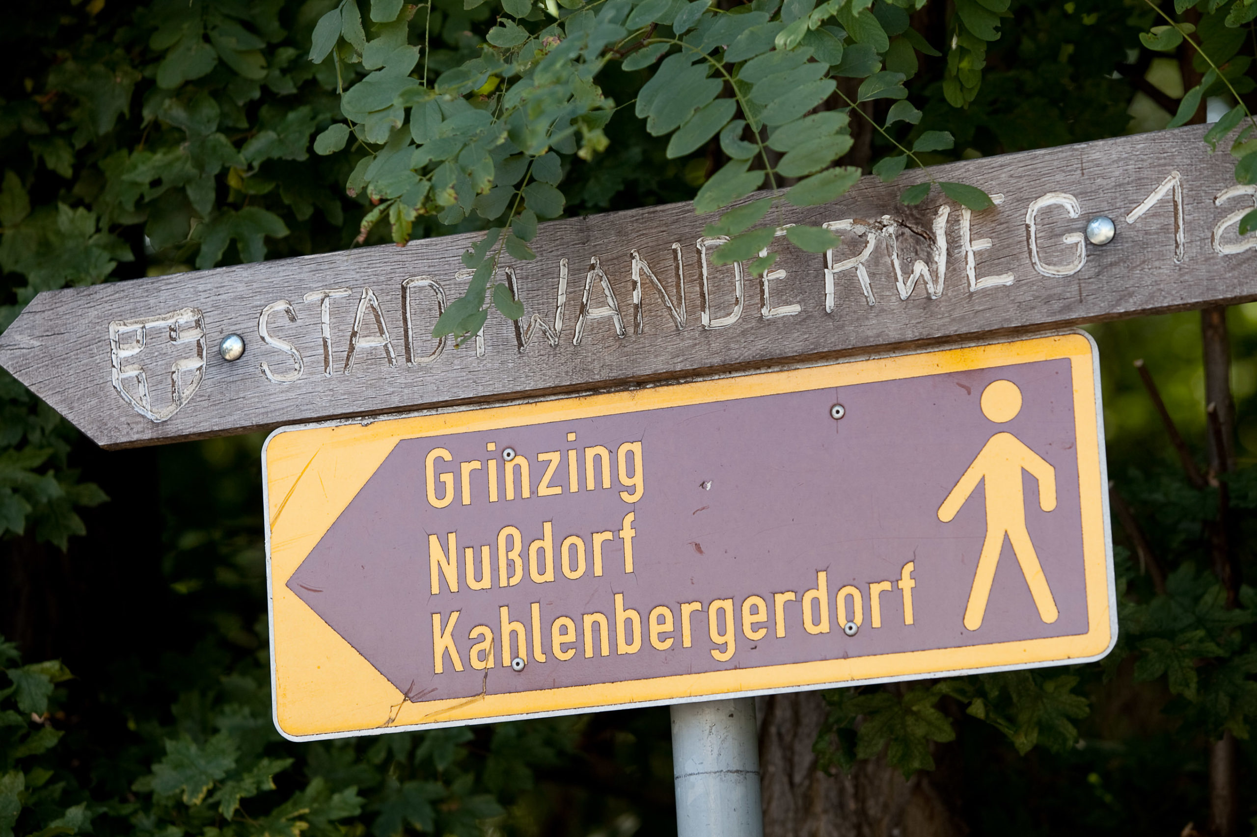 Wandern in Wien: Rundumadum & Stadtwanderwege