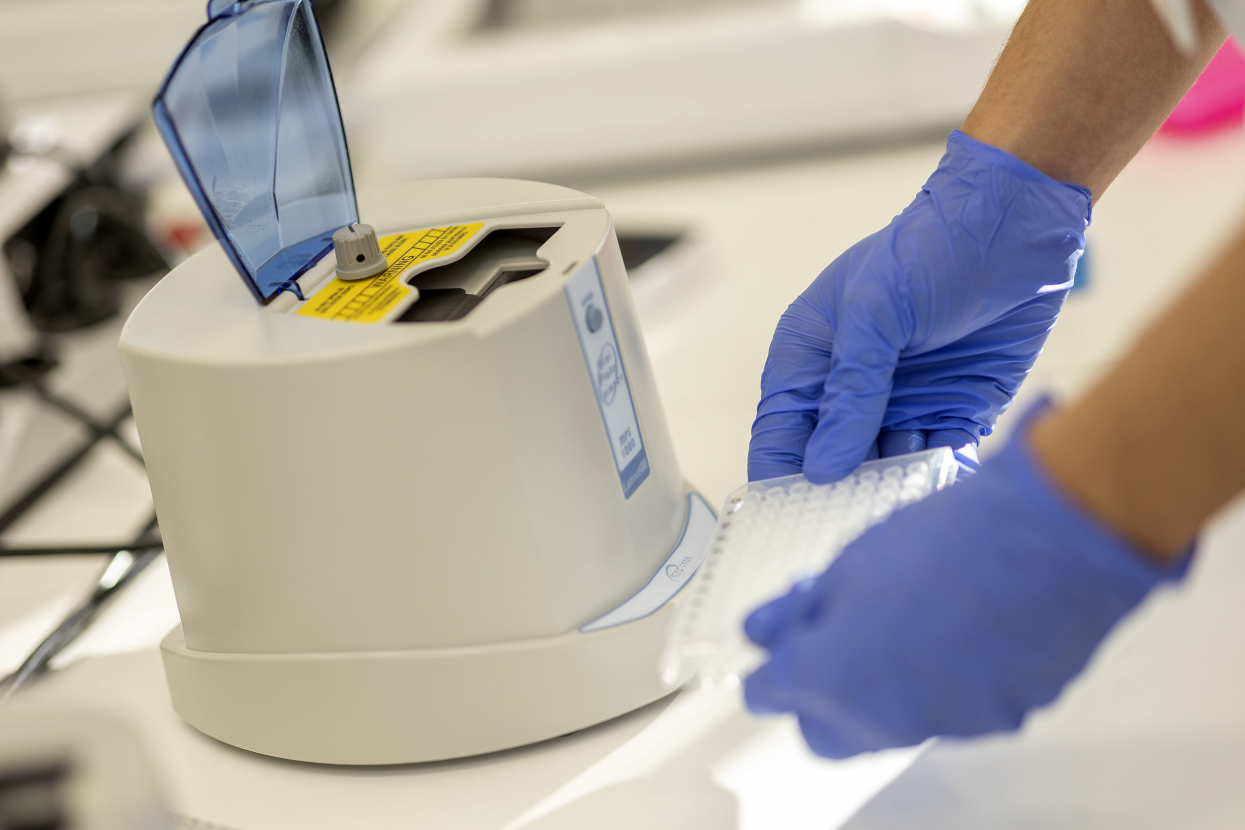 Wiener für Gratistests und Impfpflicht