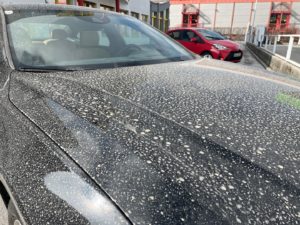 (C) Aloisia Gurtner / ÖAMTC: Den Saharastaub sieht man vielen Fahrzeugen noch lange an.