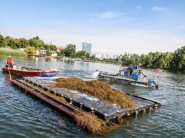 (C) PID/Christian Fürthner: Die amphibische Mähbootflotte der Stadt Wien macht die Alte Donau fit für den Sommer.