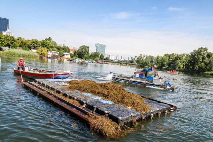 (C) PID/Christian Fürthner: Die amphibische Mähbootflotte der Stadt Wien macht die Alte Donau fit für den Sommer.