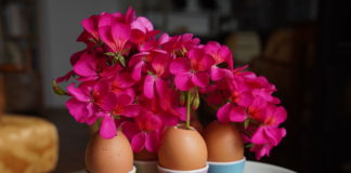 (C) Luttenberger/Selfmaid: Aus Eierschalen lassen sich zu Ostern wunderbare Vasen zaubern.