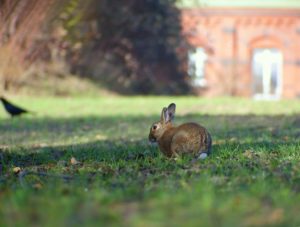 (C) unsplash: Ostern ist das zweitwichtigste Fest für den österreichischen Handel.
