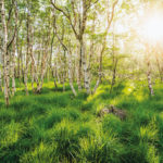 istock by getty images