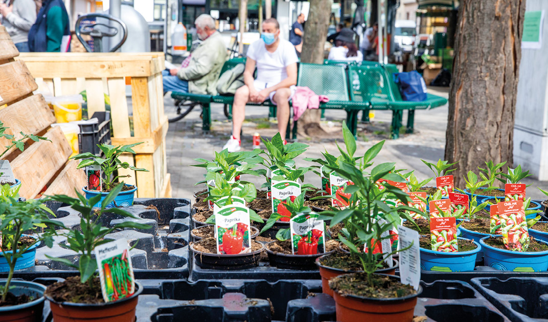 Matzner-Markt: Penzings erster, eigener Markt!