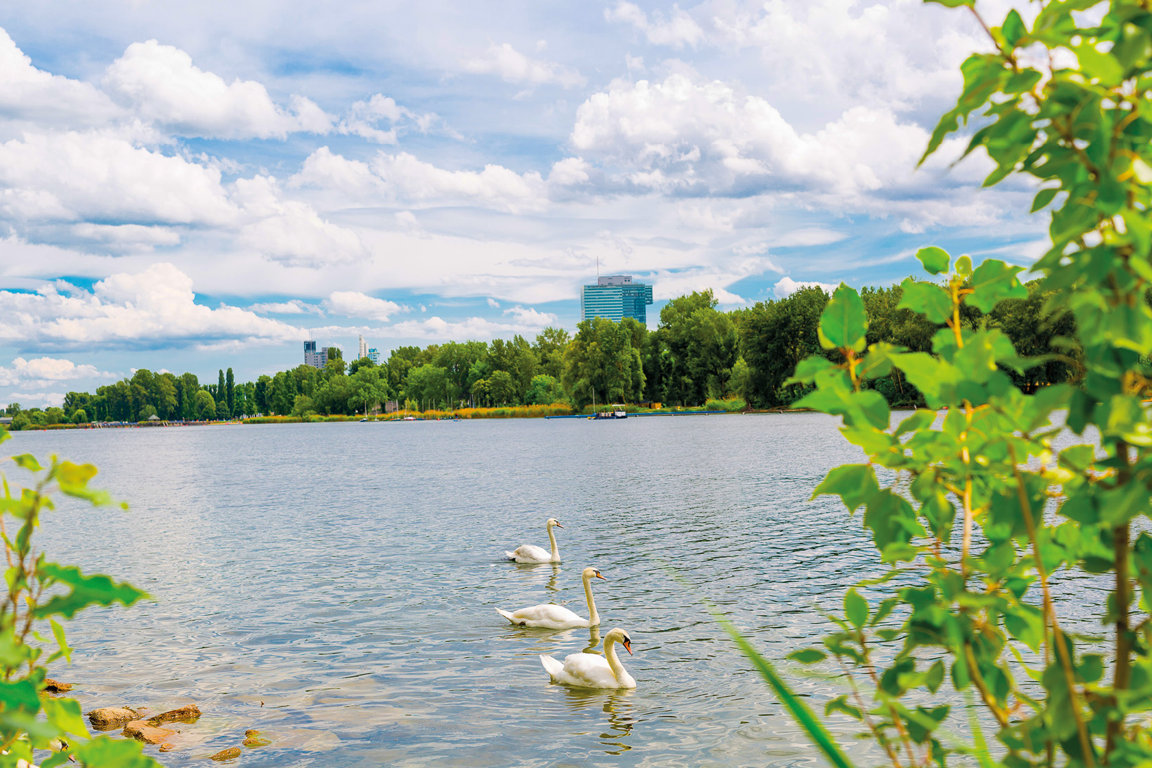 Noch mehr Grün im Bezirk