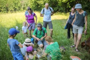 (C) BPWW/N. Novak: Am 11. Juni 2022, von 13 bis 18 Uhr erwartet die BesucherInnen beim Fest der Artenvielfalt ein umfangreiches Programm mit Naturführungen für Groß und Klein, ExpertInnentalks zum Thema Artenvielfalt und -schutz sowie ein buntes Familienprogramm mit Nisthilfen-Basteln, Rätselrallye und Spielen.