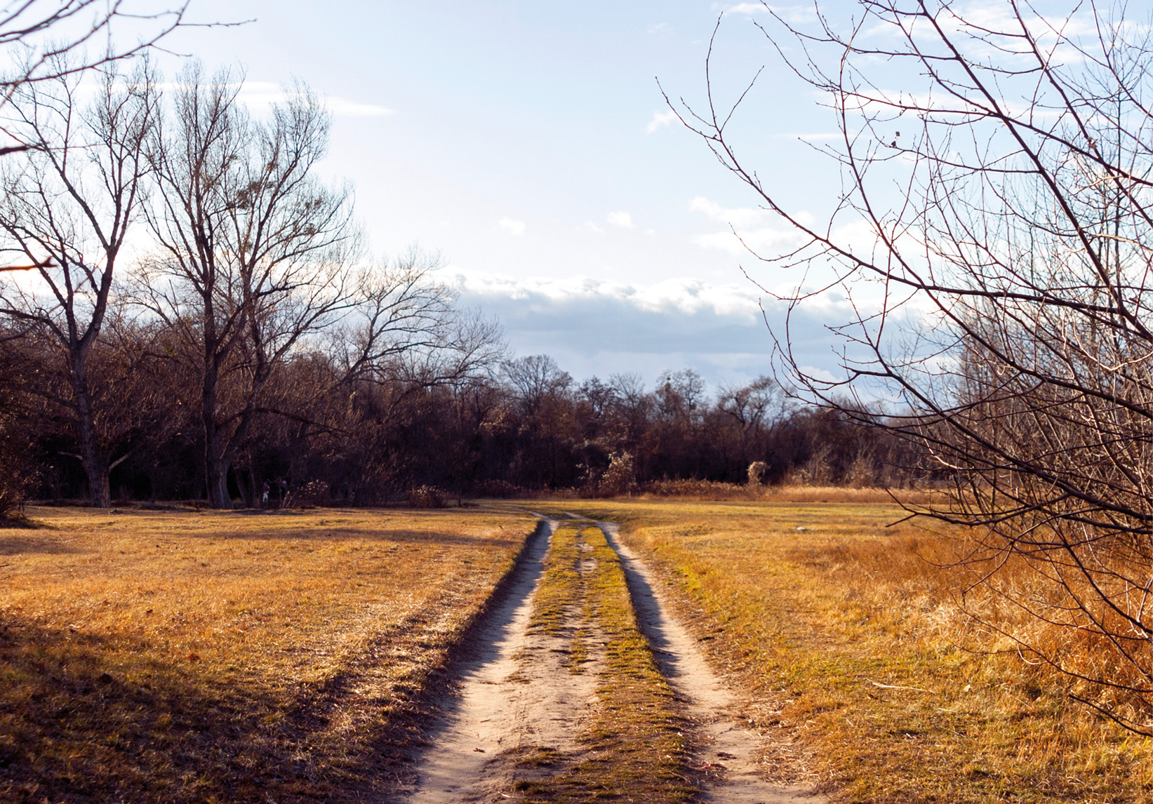 Lobautunnel: Wien reicht es!
