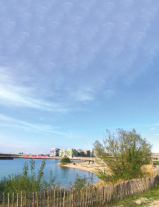 (C) Sommer: Die einzigartige Mischung aus Urbanem und Ländlichem zeichnet die Seestadt aus.