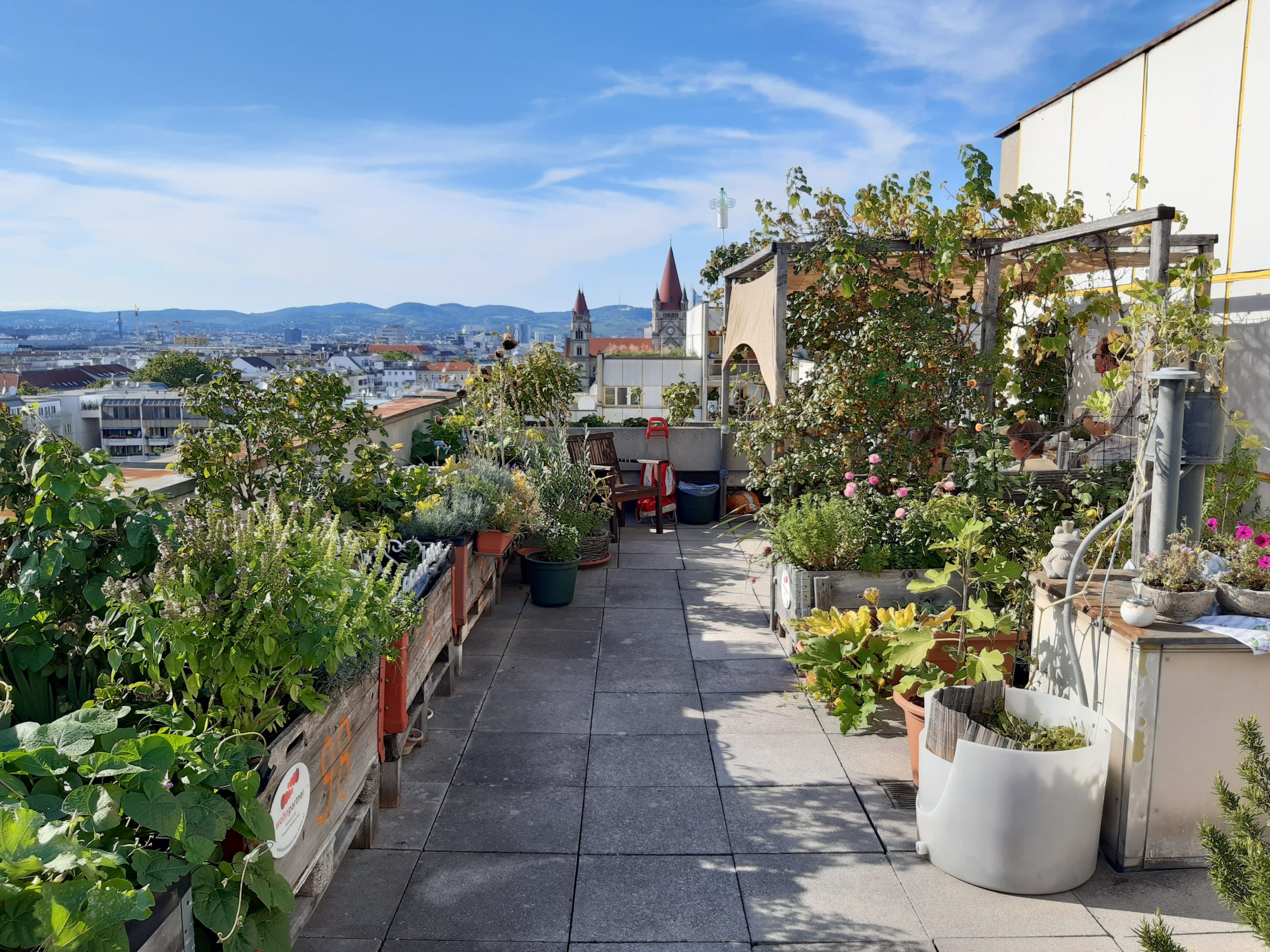 Tag der offenen Gemeinschaftsgärten und wohnpartner Gartl-Tour