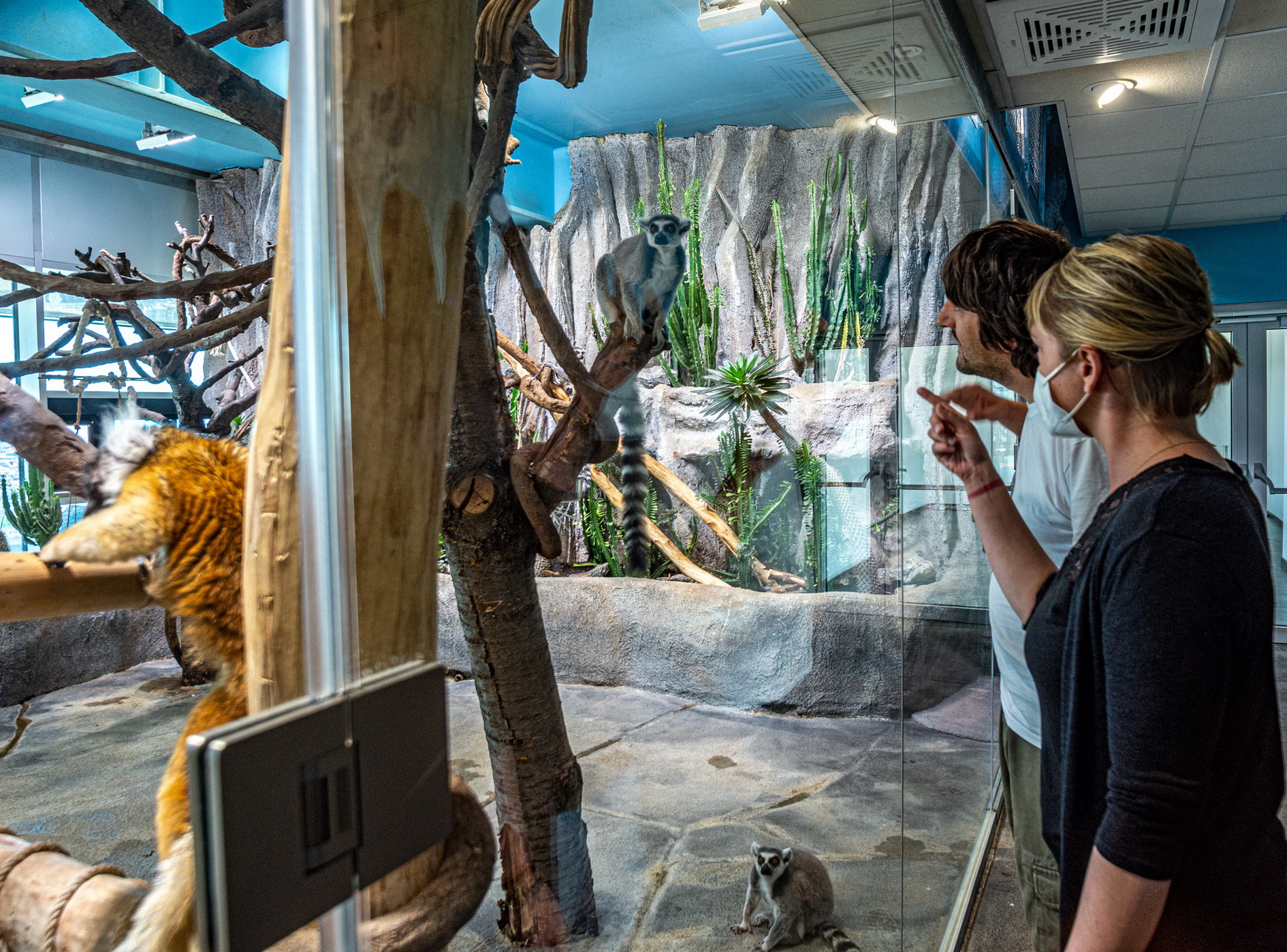 Neue Einblicke in die Madagaskar-Anlage