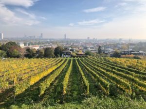 (C) unsplash: Wien wurde erneut zur lebenswertesten Stadt der Welt gekürt!