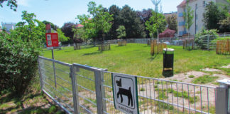 (C) Krause: Im Döblinger Hayekpark gibt es eine neue Hundezone, in Währing verhindert die Bezirkschefin die Behandlung im Ausschuss.