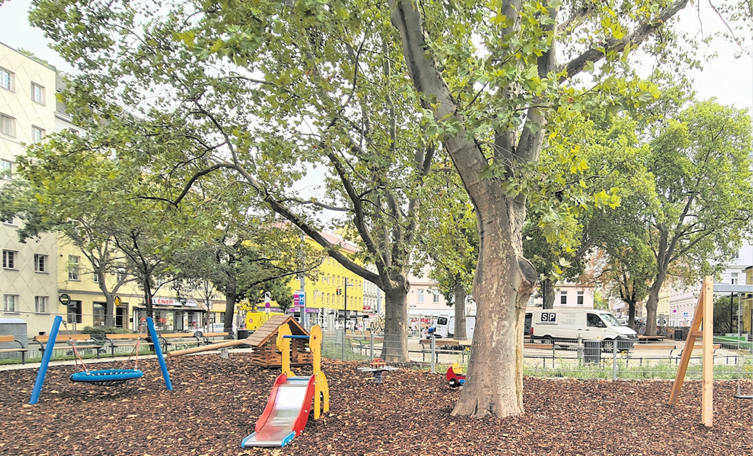 Landstraßer Grüne suchen Ideen für das Klima