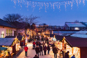 (C) Wiener Stadtgärten/Zupanc : Die Weihnachtsausstellung der Wiener Stadtgärten kann ab Donnerstag, den 17. November bis Freitag, den 23. Dezember, immer von Donnerstag bis Sonntag, jeweils von 10 bis 20 Uhr besichtigt werden.