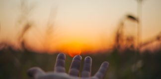 (C) unsplash