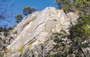(C) Privat: Über die Kaltenleutgebner Straße 17 im 23. Bezirk gibt es den Zugang zur Mizzi-Langer-Wand.