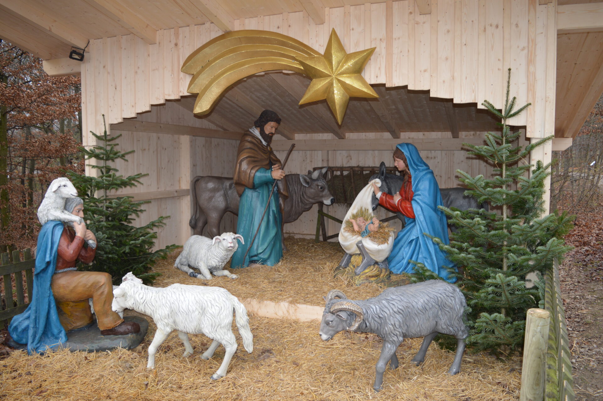 Nativity scene, delicacies & Christmas trees in Lainz - Vienna district newspaper