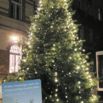 (C) Sabine Valentin: Der wunderschöne Christbaum vor dem Amtshaus im 20. Bezirk.