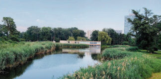 (C) Privat: Der Donaupark ist Erholungsraum für viele Wiener.