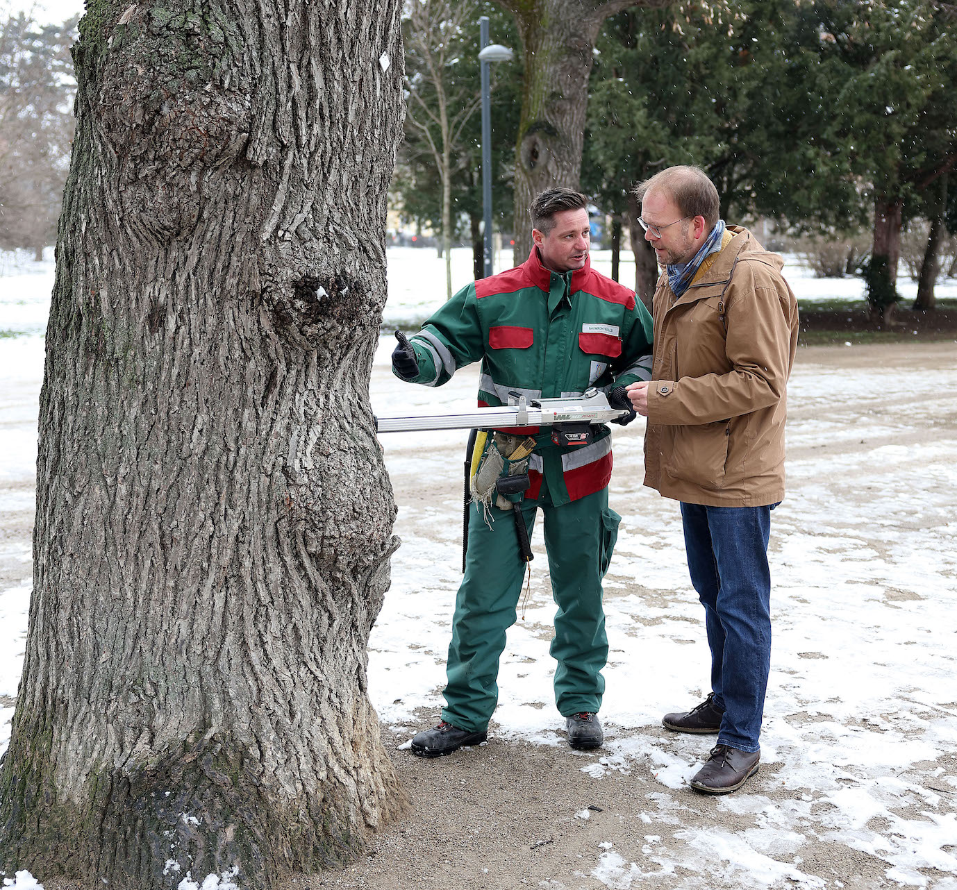 Auer-Welsbach-Park: Wirbel um Baumfällungen