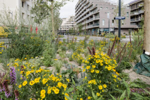 (C) Luiza Puiu: Nachdem die Plätze Wangari-Maathai–Platz und Simone-de-Beauvoir–Platz begrünt wurden, folgt heuer der Eva-Maria-Mazzucco-Platz.