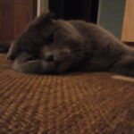 HappyEnd_Michael (3)