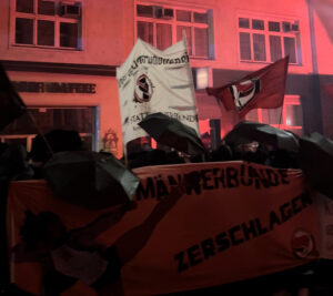 (C) WBB: An der Akademikerballdemo nahmen laut Veranstaltern rund 3.000 Teilnehmer teil.