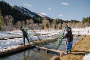 (C) Zoe Opratko: Im beschaulichen Frein setzt man auf hochwertige Bio-Fischzucht.
