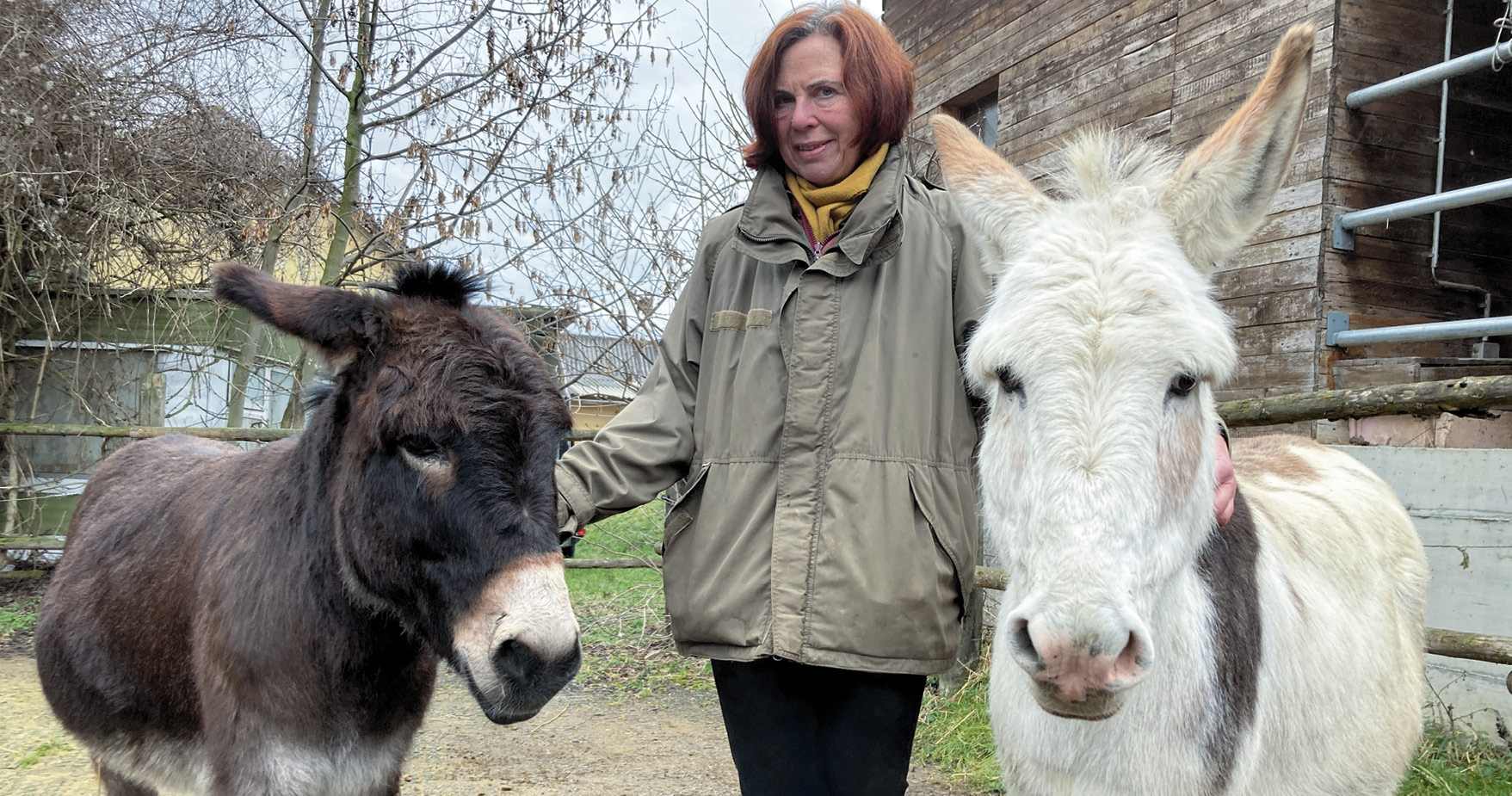 Die Liesinger lieben ihre Langohren