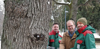 (C) PID/Votava: Bezirkschef Dietmar Baurecht (m.) mit Baumkontrolloren der Stadtgärten.
