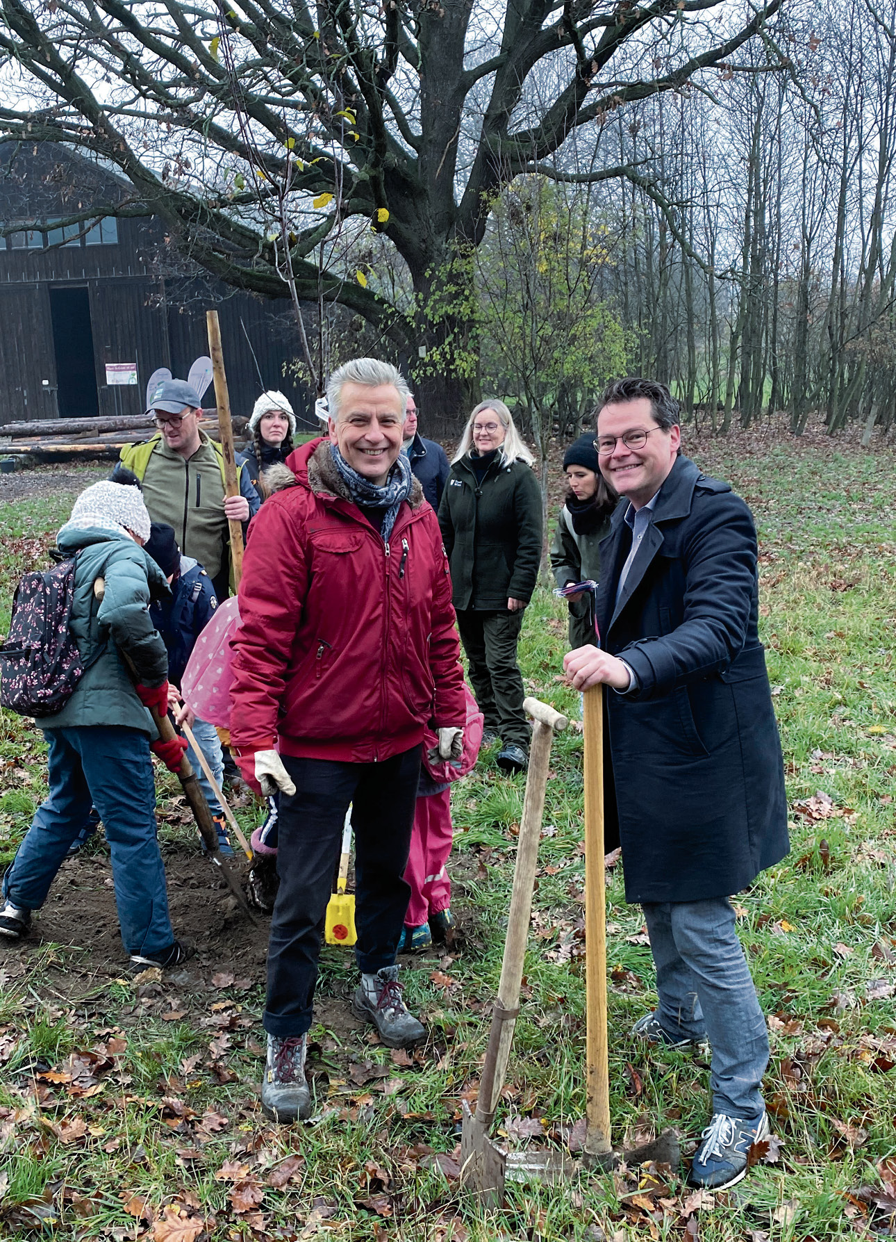 85 junge Obstbäume für die Steinhofgründe