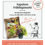 Napoleon Flyer
