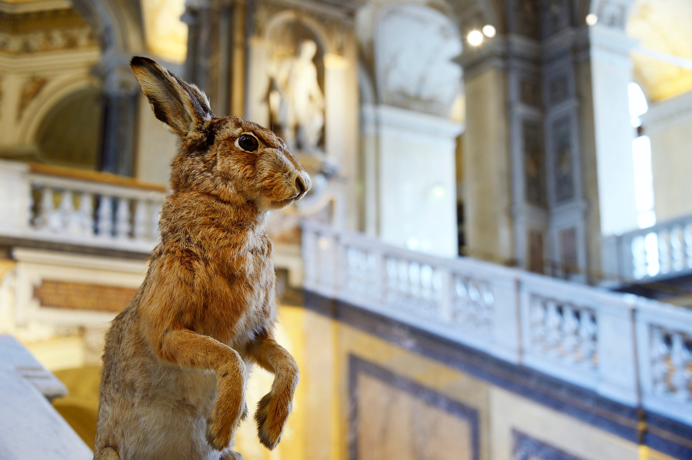 Naturhistorisches Museum: Ostern für die ganze Familie