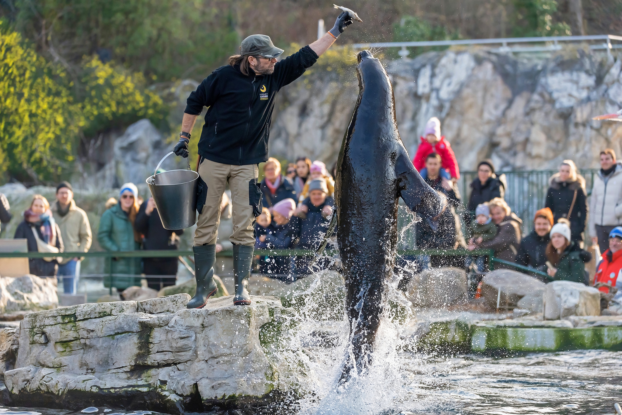 2 Millionen Besucher im Tiergarten Schönbrunn