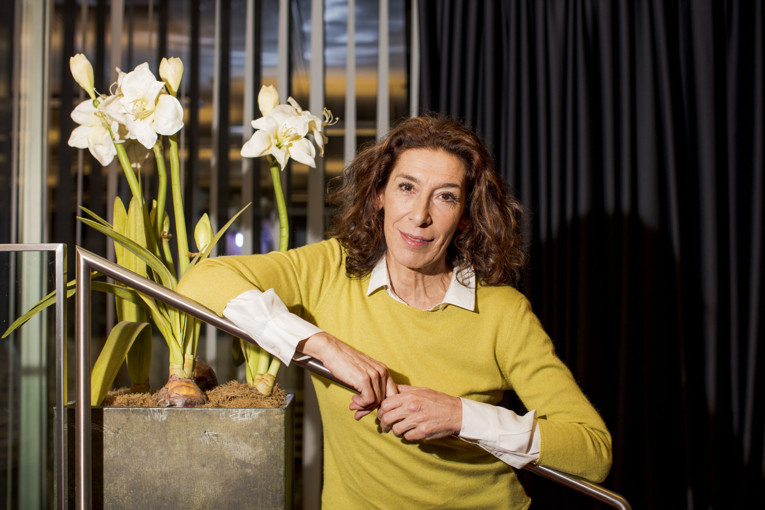 Künstler wollen Park retten und wurden Baumpaten