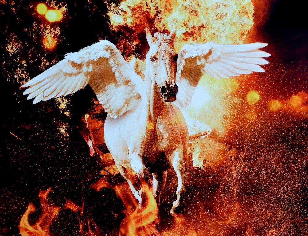 Prämierte Fotografien im Amtshaus zu sehen